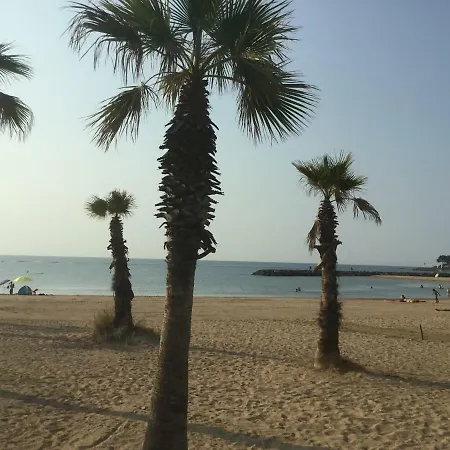 Pins Parasol 公寓 Fréjus