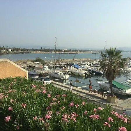 Daire Pins Parasol *